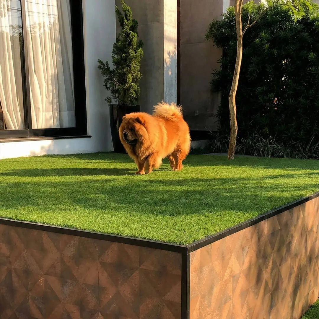 img03